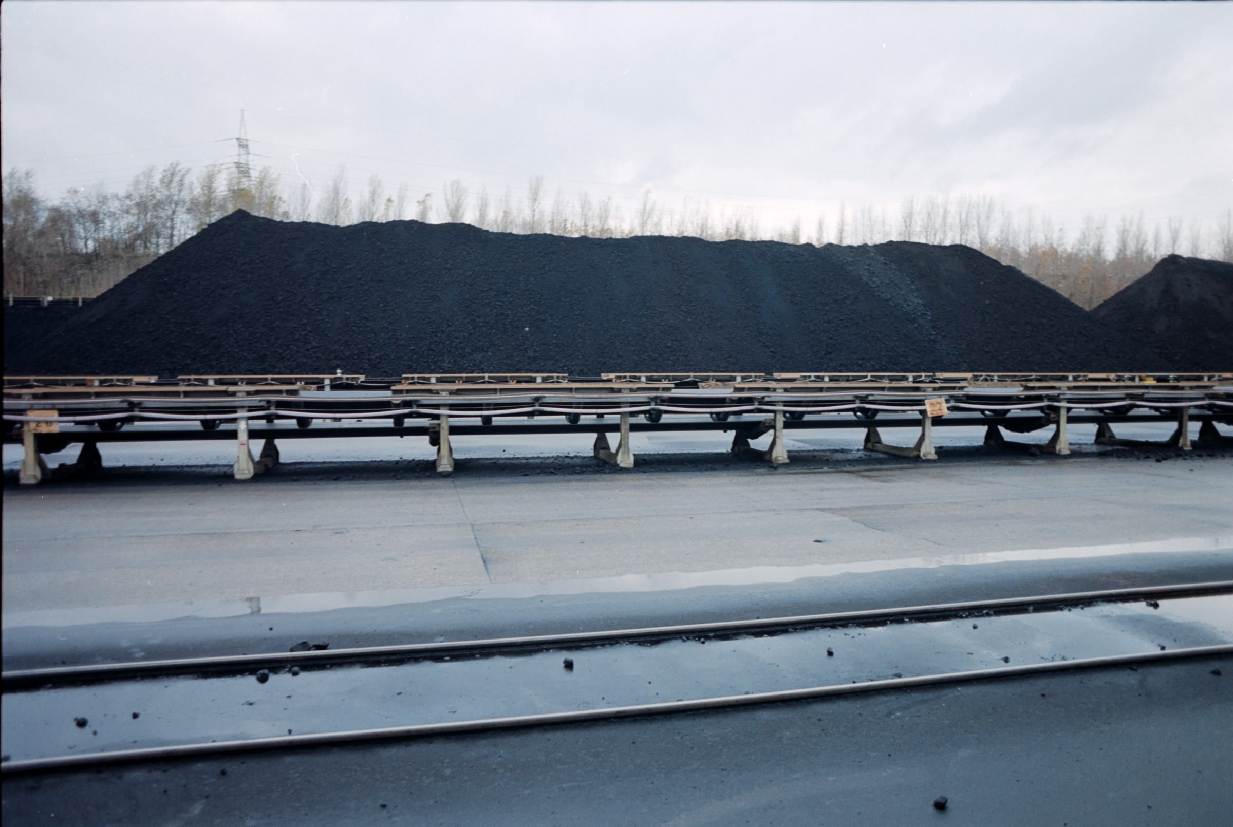 AHP film 2004 11 001 sc240828 img26 NLP